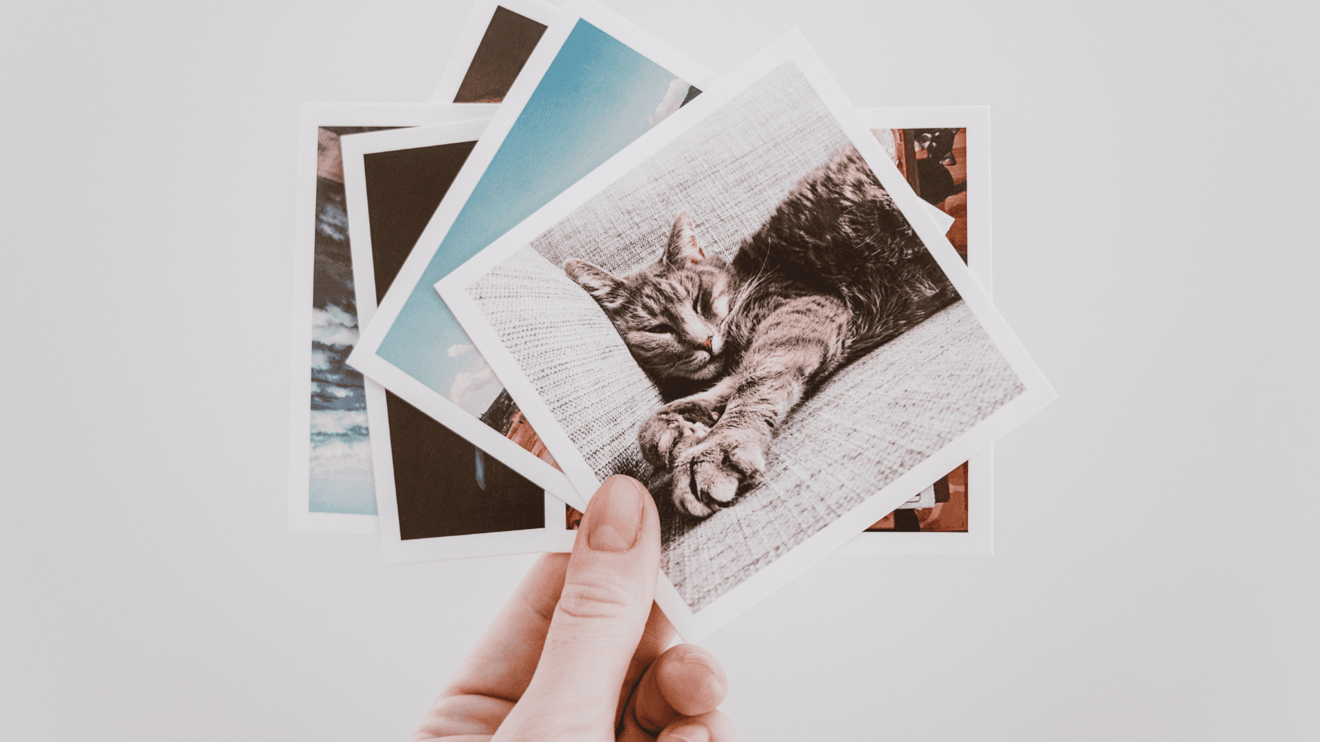 Free & Cheap Photos & Print Deals